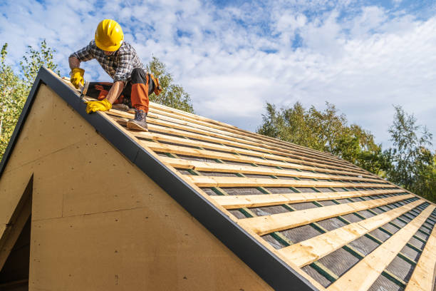 Best Roof Gutter Cleaning  in College Place, WA